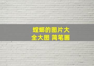 螳螂的图片大全大图 简笔画